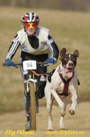 Bakonybel - 0160.JPG